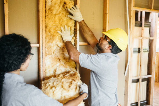 Insulation Inspection Services in Porterville, CA