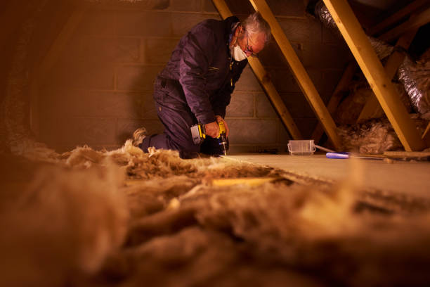 Best Insulation Removal  in Porterville, CA